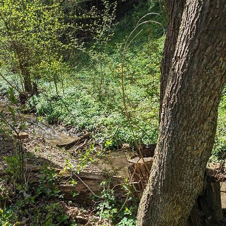 20 Min Nach Wien, Ruhig Und Gruen Klosterneuburg Kültér fotó